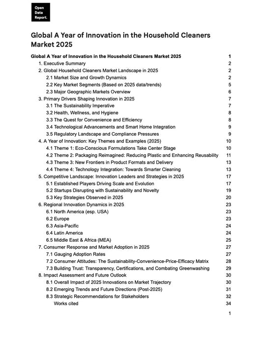 Global A Year of Innovation in the Household Cleaners Market 2025